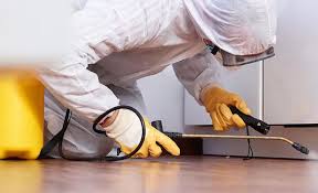 Best Residential Pest Control  in Whittingham, NJ